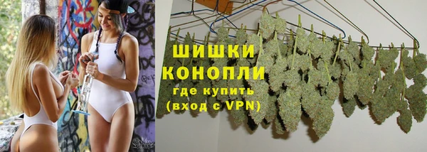 шишки Балахна